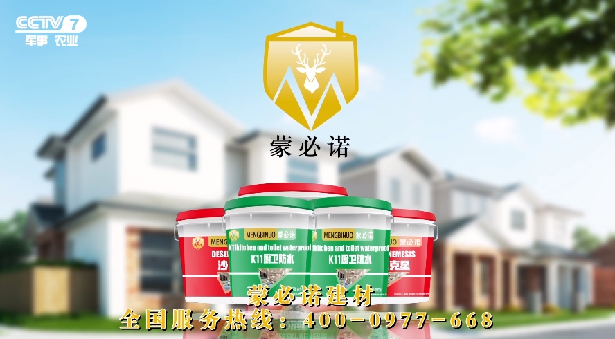 央视广告